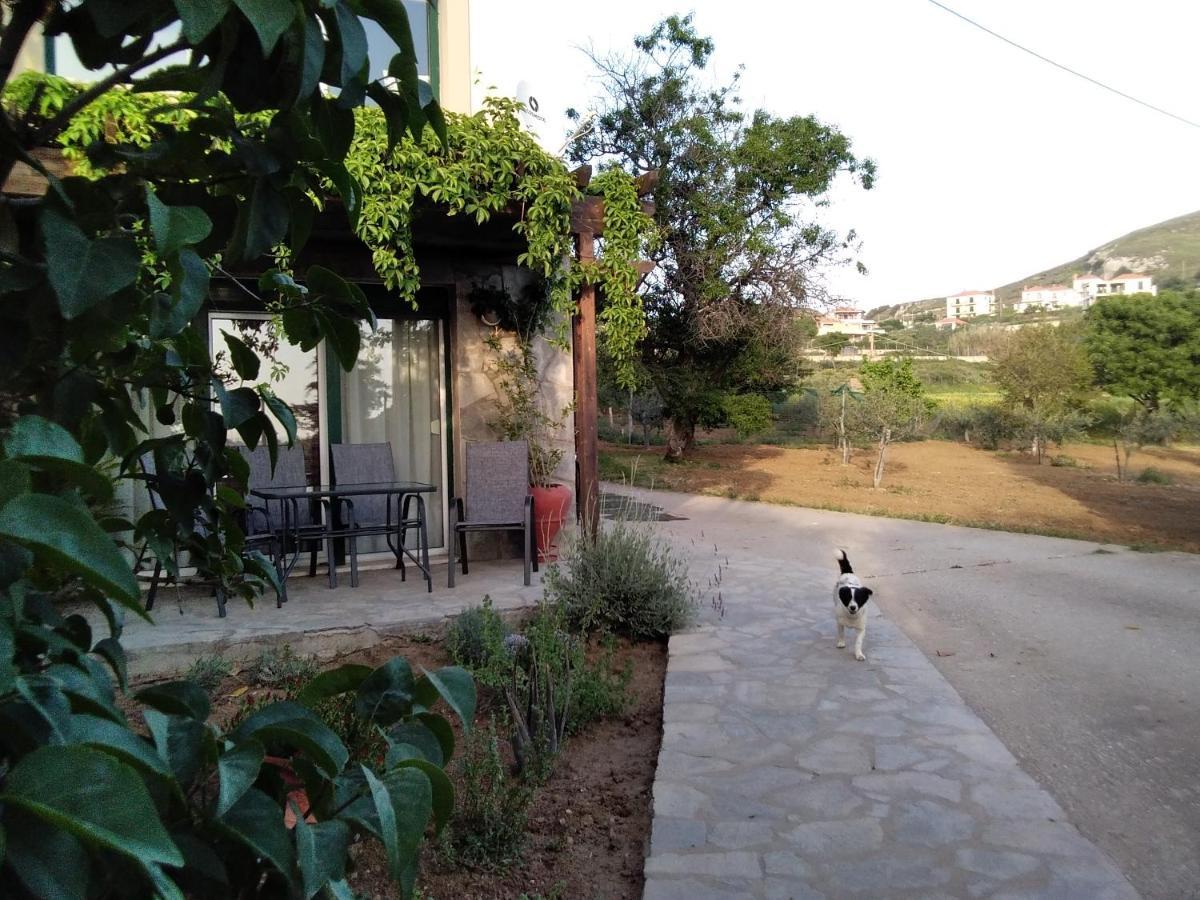 Αμυγδαλιές 33 Μύρινα Villa Ngoại thất bức ảnh